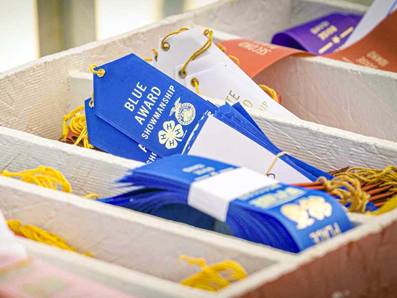 ribbons